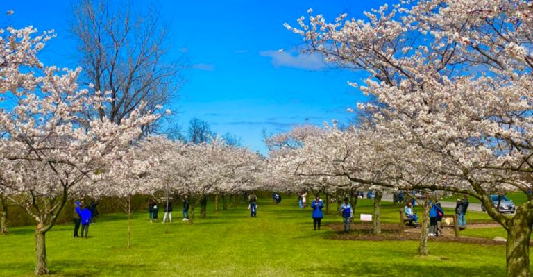 This Stunning Ohio Park Looks Like It Belongs In A Claude Monet Masterpiece
