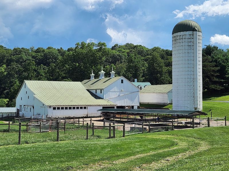 A Working Farm With a Famous Past