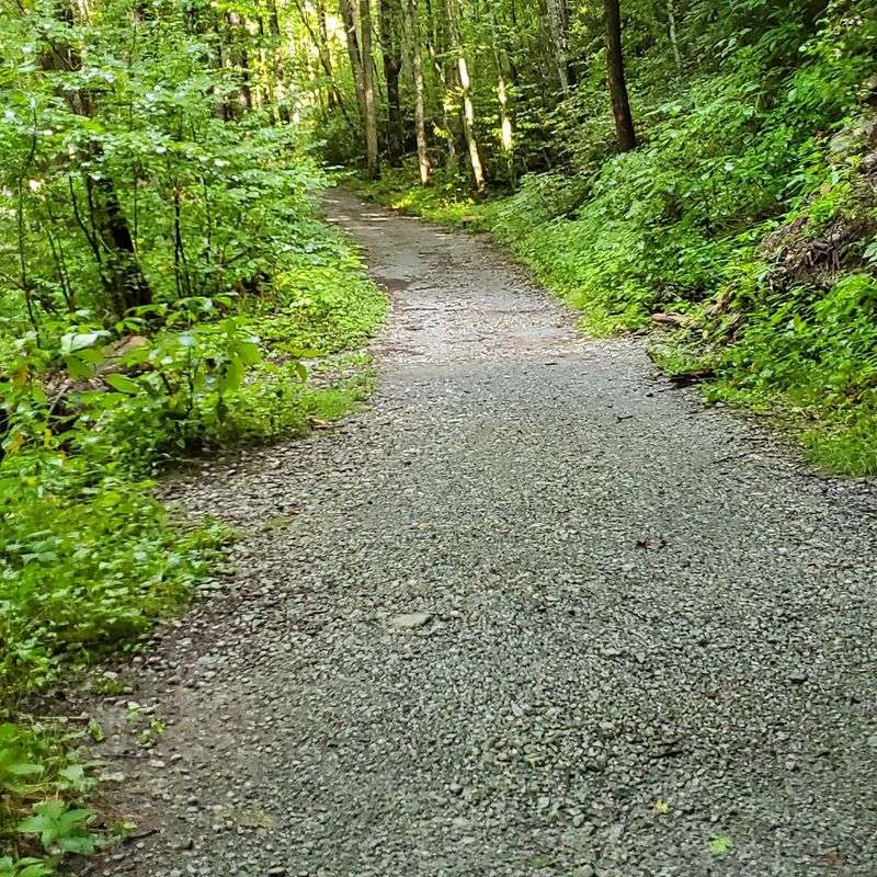 The First Step Onto The Trail Felt Like Entering Another World