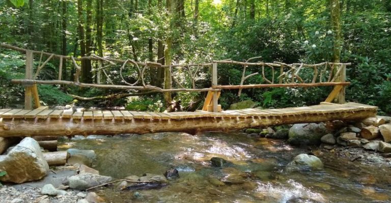 This Stunning Tennessee State Park Sits Within 10,000 Acres Of Untouched Beauty