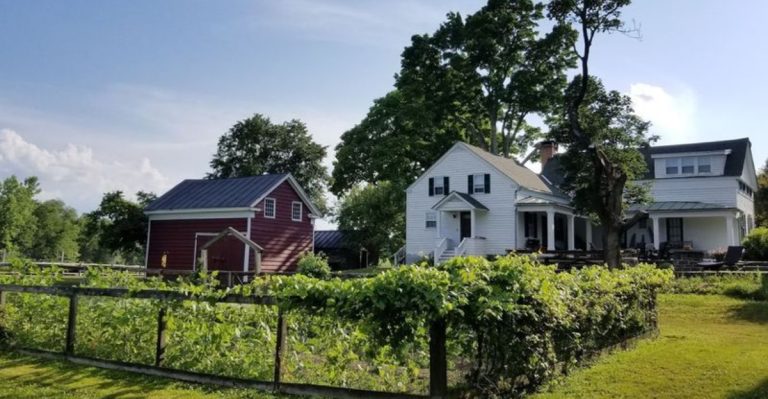 This Sunlit New York Barn Is Serving The Kind Of Brunch That Makes A Country Drive Worth It