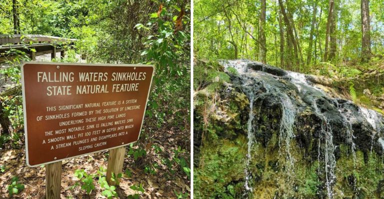 This Surreal 200-Acre Florida State Park Will Make You Feel Like You’re In The Twilight Zone