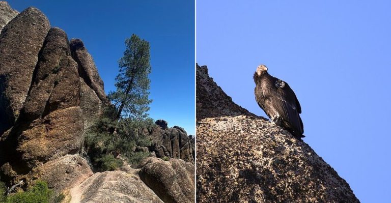 This Surreal California Trail Leads Through Shadowy Caves And Towering Rock Formations