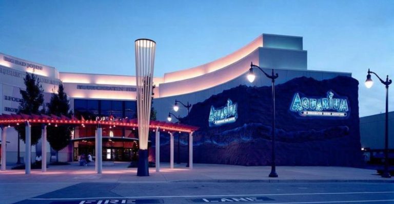 This Tennessee Restaurant Lets You Dine Face-To-Face With Sharks And Stingrays