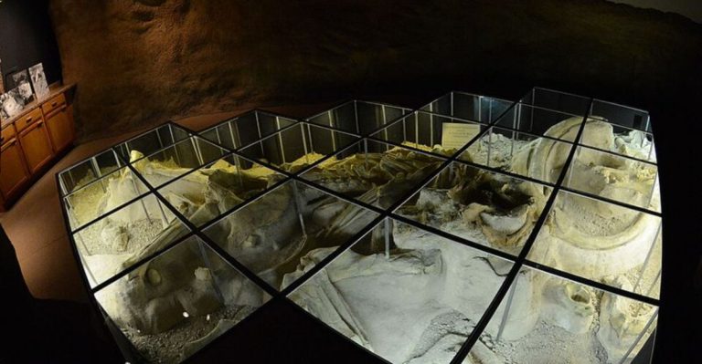 This Texas Mammoth Site Makes Waco Feel Like A Prehistoric Surprise