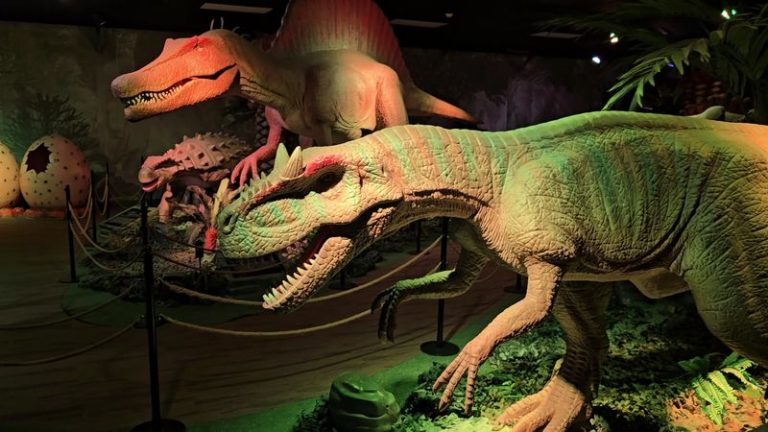 This Thrilling Illinois Museum Feels Like Stepping Into Jurassic Park