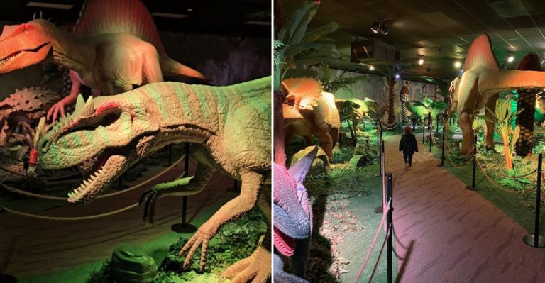 This Thrilling Illinois Museum Feels Like Stepping Into Jurassic Park