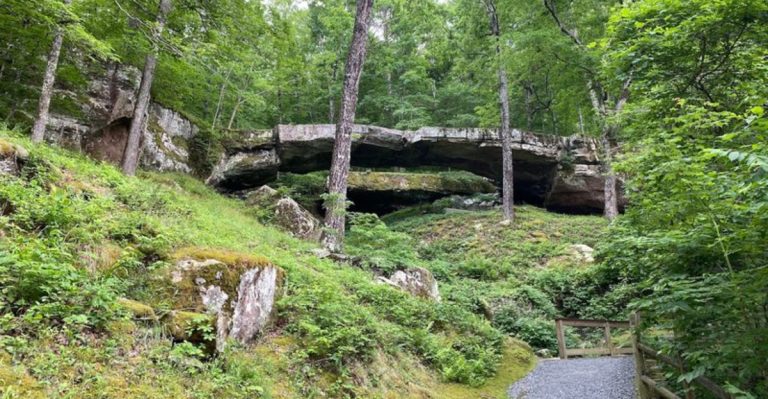 This Time-Carved Natural Bridge Hidden In The Arkansas Woods Feels Like A Secret From Another Era