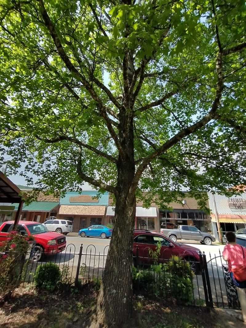Brick Storefronts And A Classic Small-Town Main Street