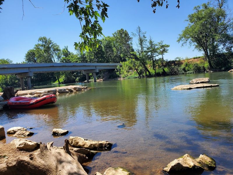 May Dogwood Bloom And Festival Energy