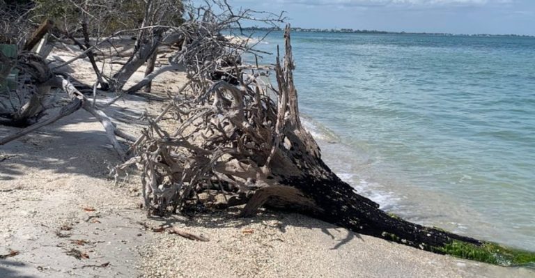 This Tiny Florida Island Is Home To A Ghost Town You Can Only Reach By Boat