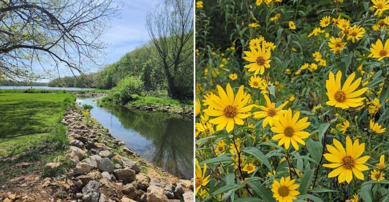 This Tiny Illinois Town Is Home To One Of The Midwest’s Most Fascinating State Parks