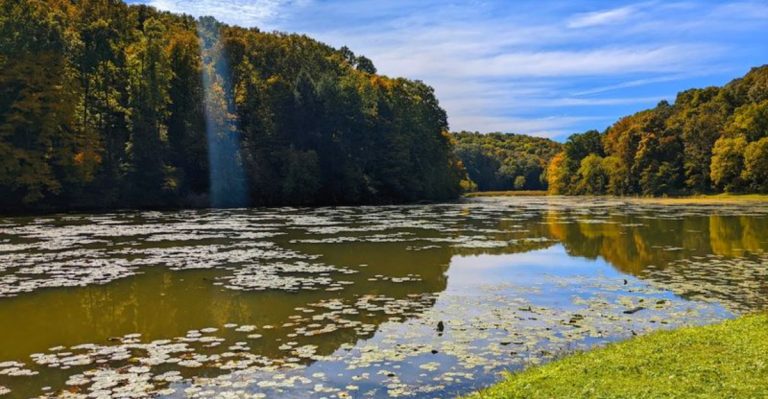 This Tiny Ohio State Park Is Too Beautiful To Stay A Secret Any Longer