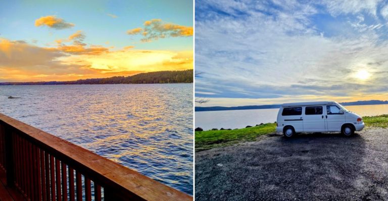 This Tiny Washington Shore Lets You Harvest Oysters Straight From Hood Canal