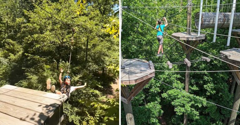 This Treetop Adventure In Arkansas Belongs On Your Summer Wish List