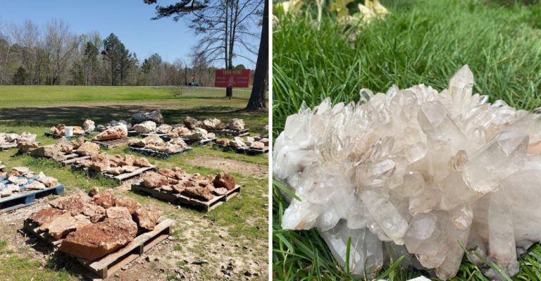 This Tucked-Away Dig Spot In Arkansas Is A Must-Visit For Anyone Who Loves Treasure Hunts