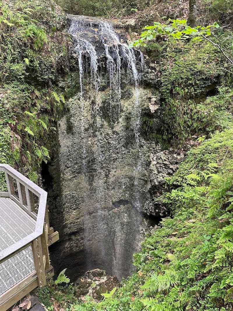 Florida's Tallest Waterfall Dropping Into A Limestone Pit