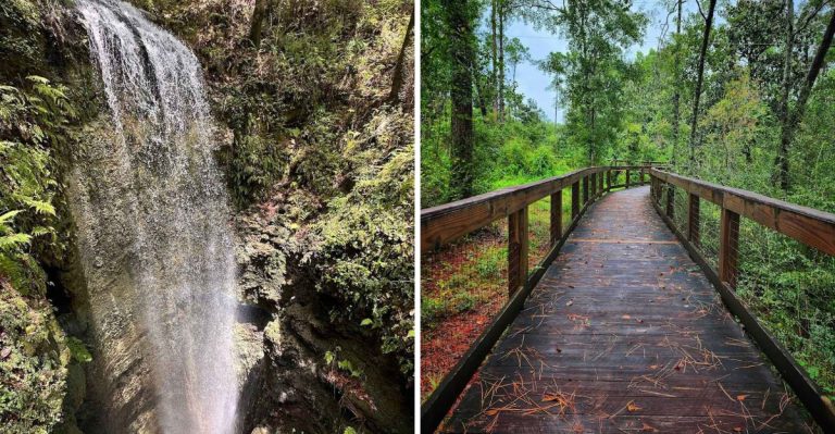This Tucked-Away State Park In Florida Feels Like It’s From Another Era