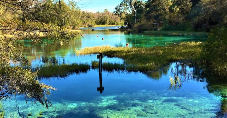 This Turquoise Florida Spring Is A Hidden Outdoor Escape To Visit In 2026