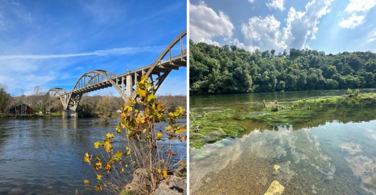 This Unassuming Arkansas Park Hides A Crystal-Clear Spring With A Remarkable Secret