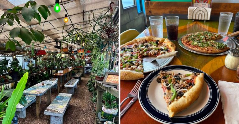 This Unassuming Florida Restaurant Serves Pizza Some Say Is The Best In America