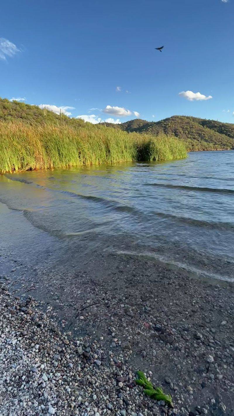 The Setting: A Desert Beach That Feels Almost Tropical