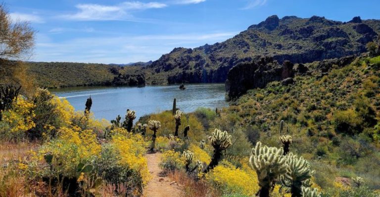 This Under The Radar Beach In Arizona Is An Ideal Day Trip For Families