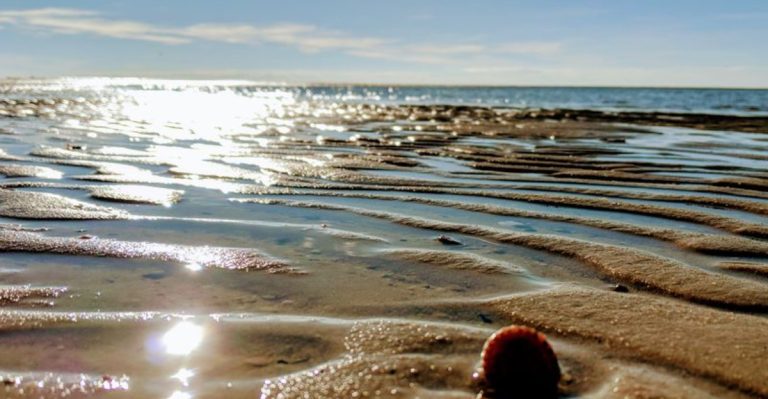 This Under-The-Radar Beach In Virginia Is A Slice Of Island Paradise