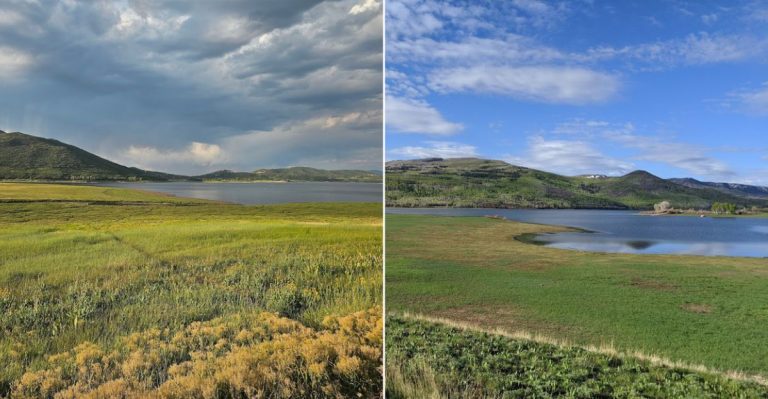This Under-The-Radar Colorado State Park Is Stunning In May When Wildflowers Begin To Take Over