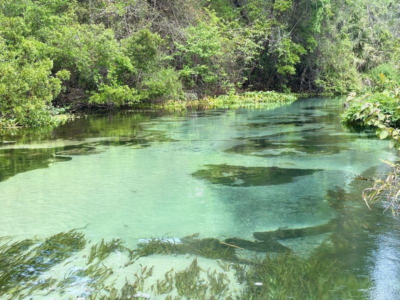 The Spring Water Stays At 72 Degrees Year-Round