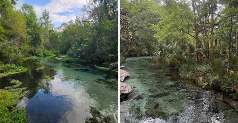 This Under-The-Radar Florida Park Has Clear Springs And A Natural Lazy River