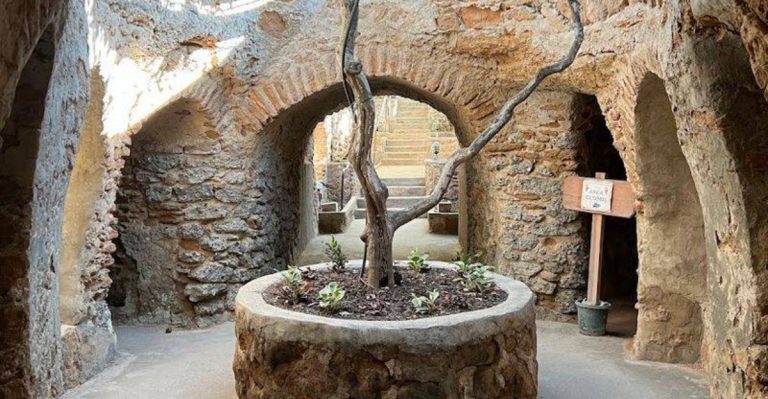 This Underground California Garden Feels Like A Secret World Beneath Fresno