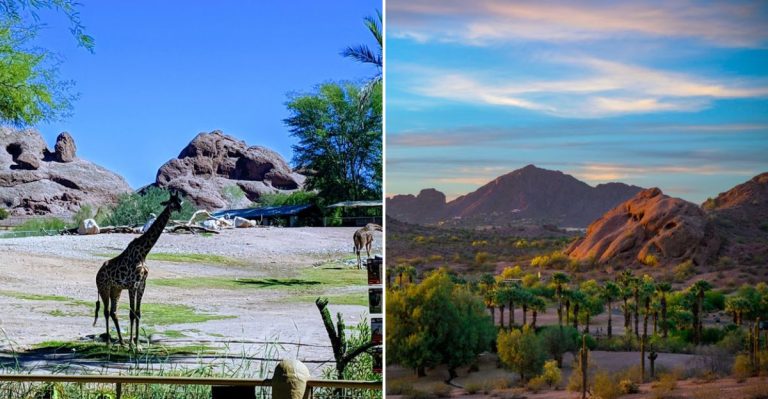 This Underrated City Park In Arizona Is Almost Too Beautiful To Feel Real (And It Has Giraffes And More)