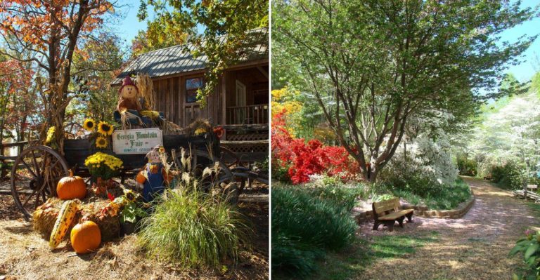 This Underrated Georgia Lakeside Village Is Perfect For A Slow Fall Weekend