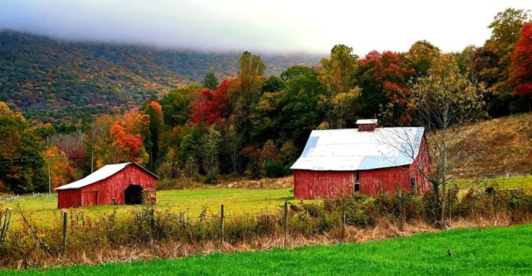 This Underrated Virginia Town Is Turning Into A Favorite For Peace, Quiet, And Nature