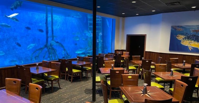 This Underwater Dining Experience In Florida Feels Like Pure Magic