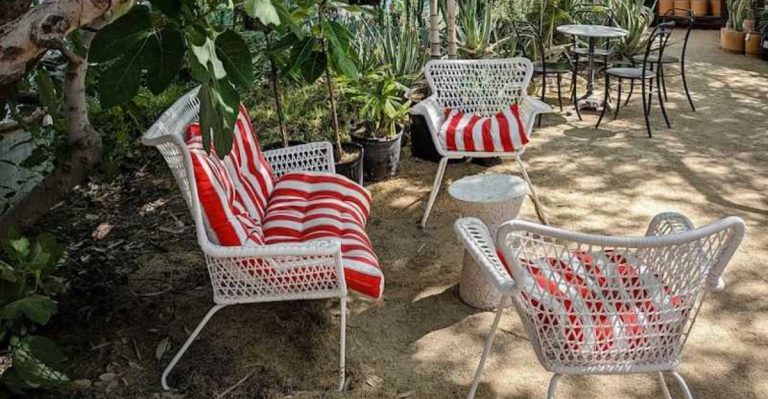 This Unique Arizona Coffee Shop Feels More Like A Hidden Retreat Than A Café