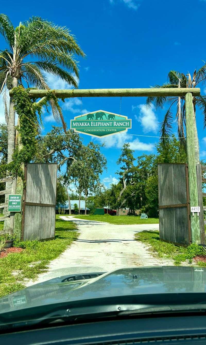 Arriving In Myakka: First Look At The Ranch