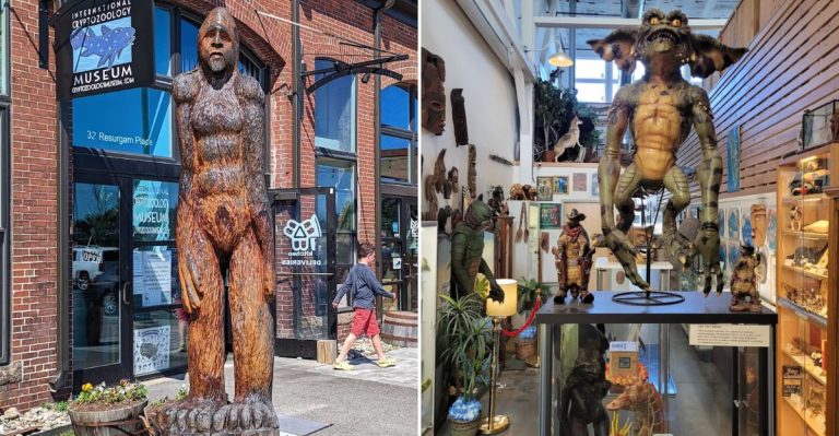 This Uniquely Strange Cryptozoology Museum In Maine Is Wildly Bizarre