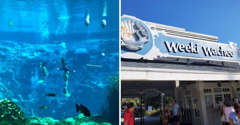 This Unreal Florida Attraction Belongs On Every Must-Visit List