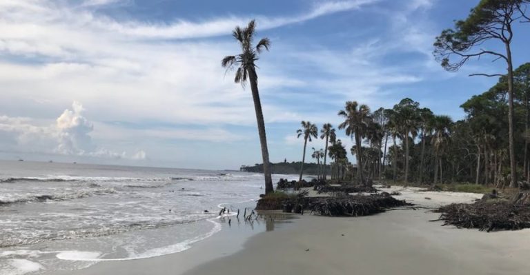 This Unspoiled South Carolina Shore Is A Local Secret For Finding Prehistoric Treasures