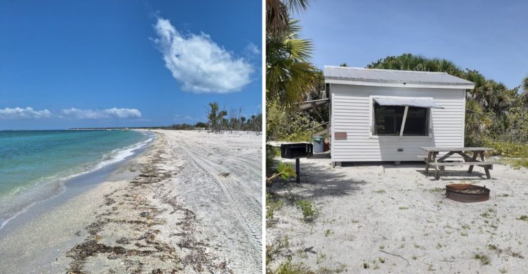 This Untouched Barrier Island In Florida Has Wild Dolphins, Nesting Sea Turtles, And No Paved Roads