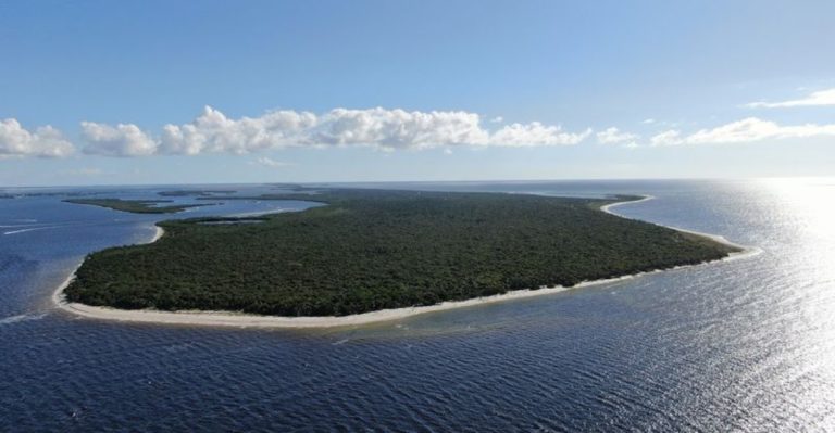 This Untouched Florida Barrier Island Has Wild Dolphins, Nesting Sea Turtles, And Not A Single Paved Road