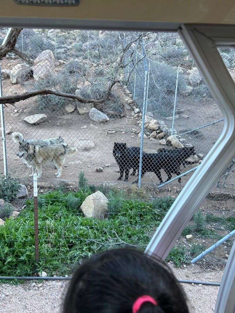 The Story Behind Keepers Of The Wild