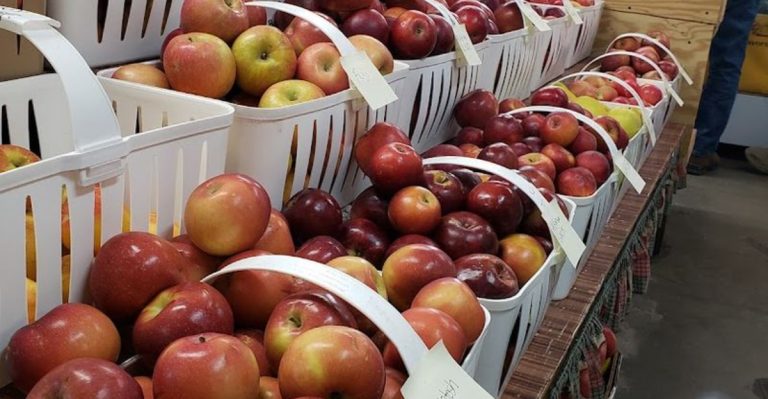 This Virginia Fruit Stand Turns A Hot Drive Into A Sweet Escape