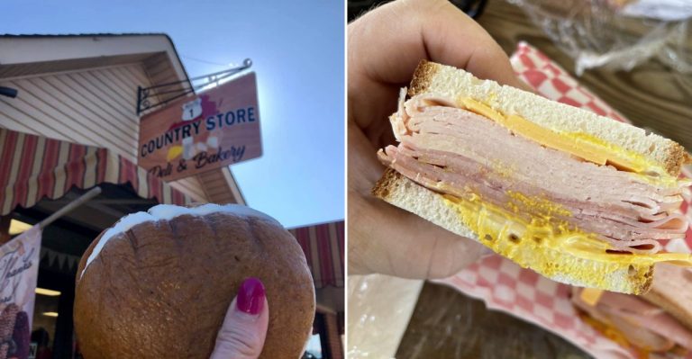 This Virginia Sandwich Counter Is Treasured By Locals Who Say Outsiders Don’t Deserve To Know