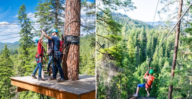 This Washington Adventure Hangs You 190 Feet Above A Forested Valley