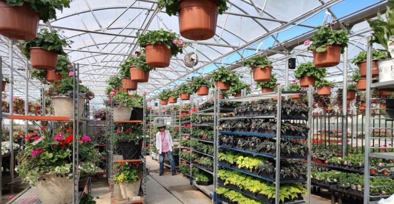 This Washington Garden Village Comes With A Bistro And A Real Windmill