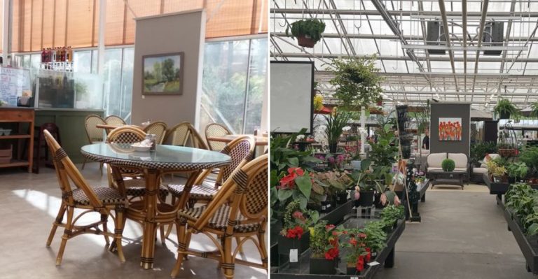 This Washington Greenhouse Has A Full Restaurant Hidden Among The Plants