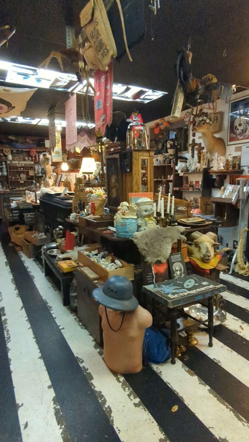 A First Impression That Hits Different